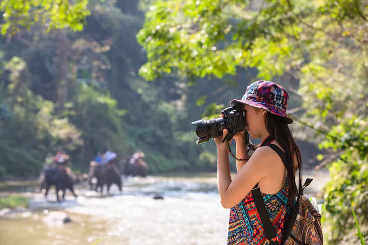 Traveler photographing elephants in a river jungle setting